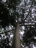 s_A_PICT0154_thumb.png